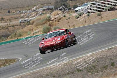 media/May-03-2025-Lucky Dog Racing (Sat) [[206de64b9d]]/Turn 4 B (1150am-130pm)/